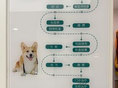 -瑞派康怡24h宠物医院·犬猫医疗中心·微创绝育(瑞景分院)