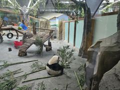 -青藏高原野生动物园