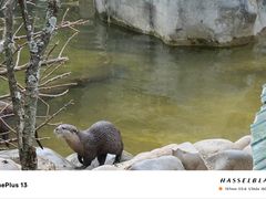 -昆明动物园