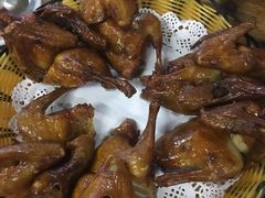 -百利鸽王(紫薇路店)