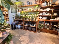 -自由生长植物工作室(深港花卉中心店)