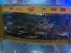 水产区-黄记大闸蟹专卖店·活蟹·醉蟹