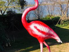 -福建鲤鱼洲酒店