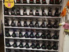 -猫咪博物馆(顶澳仔猫街店)