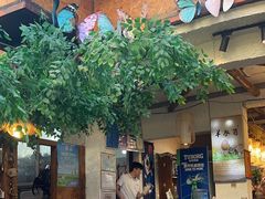 -大理董·董家小厨野生菌火锅(古城旗舰店)