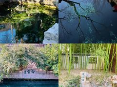 -趵突泉景区