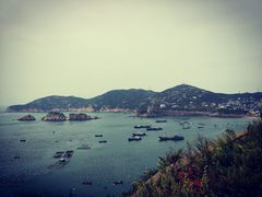 -枸杞岛
