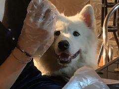 -宅恩特披萨(百汇城店)