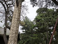 -北陵公园