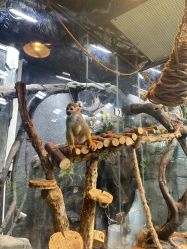 -Zoolung Zoolung动物主题公园(海信广场店)