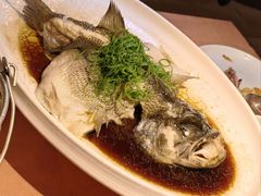 -MD日越生辉铁板烧(海运堤店)