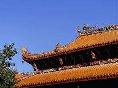 -仙岳公园