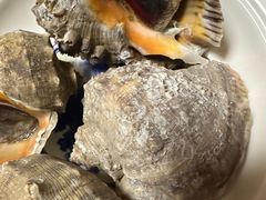 -威利发(莱山芳花园店)