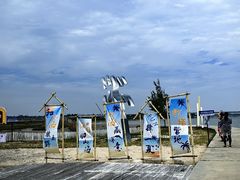 -北海金海湾红树林生态旅游区