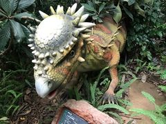 -北京呀路古热带植物园