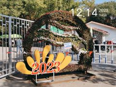 -上海共青森林公园