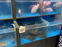 -盒马鲜生(皇庭广场店)
