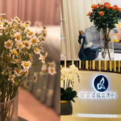 -新蝶变皮肤管理中心