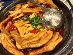 -金龙寨(龙城路店)