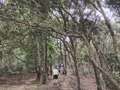 -梧桐山风景名胜区