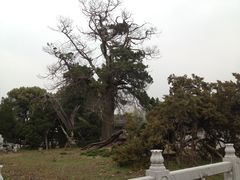 IMG_7265-司徒庙