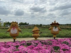 -嘉北郊野公园