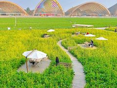 -中国天府农业博览园