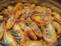 罗氏虾-新庆嫂渔港