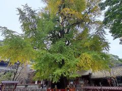 -潭柘寺景区
