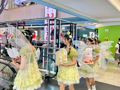 -VT101维多利广场
