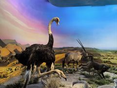 -国家自然博物馆