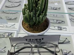 -罗伯特眼镜·蔡司官方授权(罗湖国贸店)