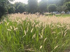 -广州市紫泥堂文化创意园景区