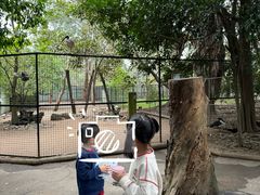 -费瑟代尔野生动物园