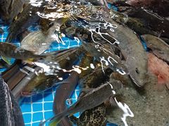 -都斛海鲜街