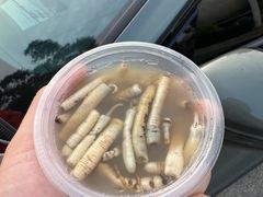 -安海长火土笋冻