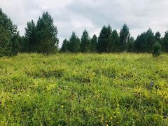 -塞罕坝国家级自然保护区