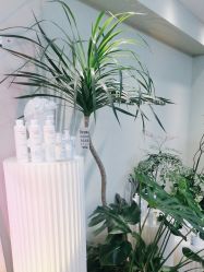 -Lumi露米·美甲美睫品质店