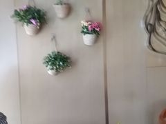 -桃花江餐厅·江景-约会·聚会