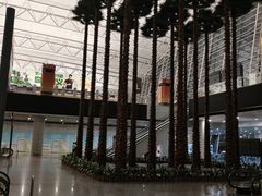 -广州白云国际机场-T1航站楼