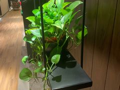 -三谷里·生态水疗空间(五一店)