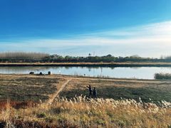 -潇河湿地公园