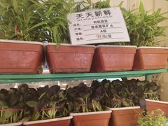 -山东宾馆·齐鲁苑餐厅