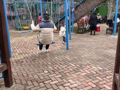 -无锡梅园公园