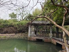 -八大山人梅湖景区