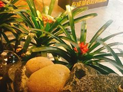 -蕃茄述·好汤自然来(江汉路店)