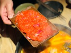 -毛辣果·酸(OHA复兴西路店)