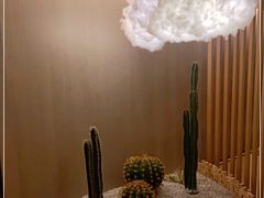 -水裹汤泉生活馆餐厅