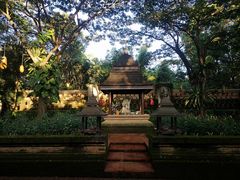 -四季酒店下午茶