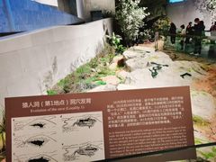 -北京周口店北京人遗址博物馆